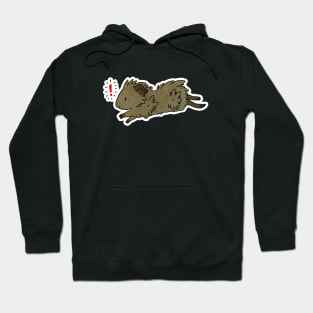 Running Abyssinian Guinea Pig Hoodie